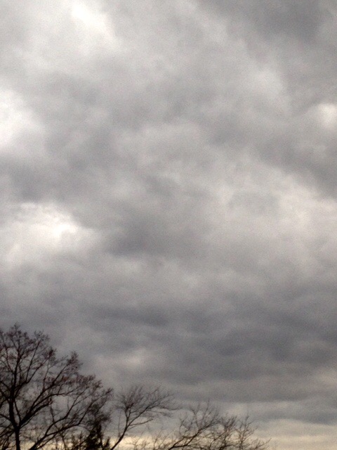 9C0E84FB-7562-454A-9693-210B1F664355