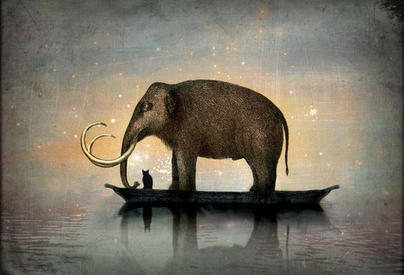 ED564223-5F30-4D9C-81F5-94ADB71DC000