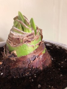 429d89a7-ef98-432c-9cda-5402a9da54de