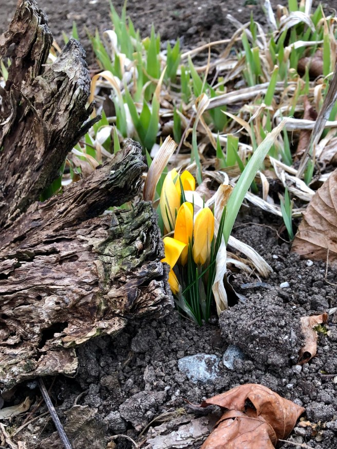 B089306B-640B-4A4E-9D85-8DF1D3EFA67D